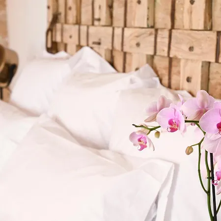 Venkovský dům Ca Sana Boutique Teulada Moraira
